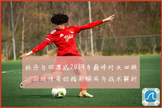 林丹与田厚威2014年巅峰对决回顾：羽坛传奇的精彩瞬间与战术解析