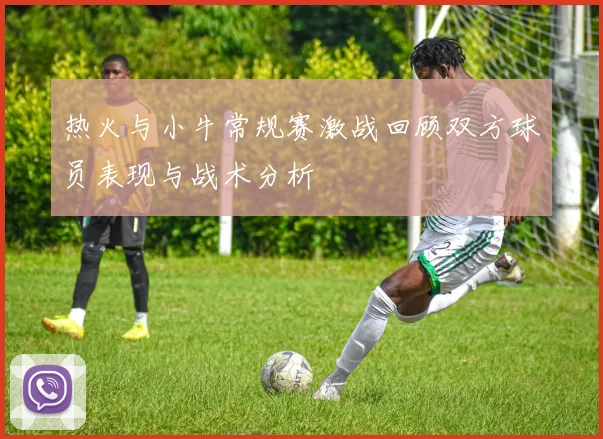 热火与小牛常规赛激战回顾双方球员表现与战术分析