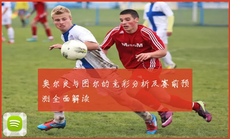 奥尔良与图尔的竞彩分析及赛前预测全面解读