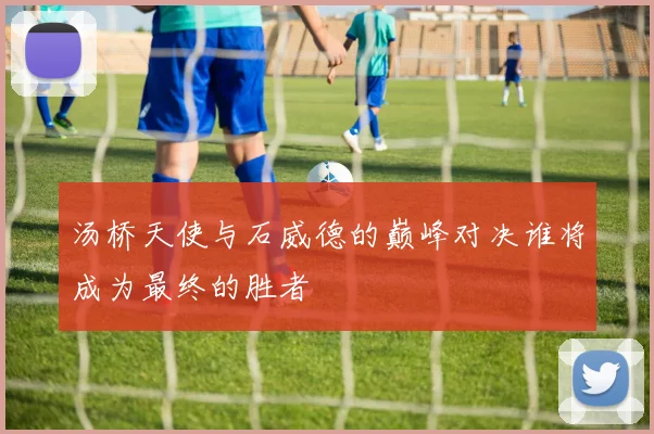汤桥天使与石威德的巅峰对决谁将成为最终的胜者